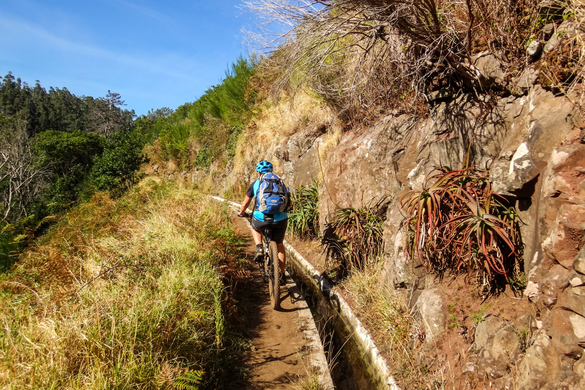 Levadas - die Wasserkanäle werden heute als Wanderwege & Trails genutzt