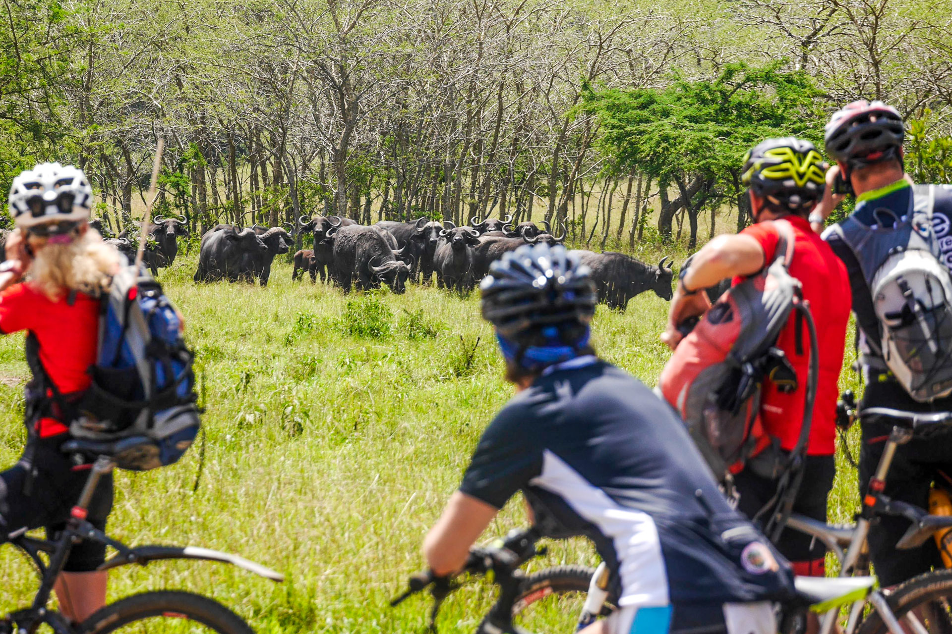 Bikesafari im Mburo Nationalpark