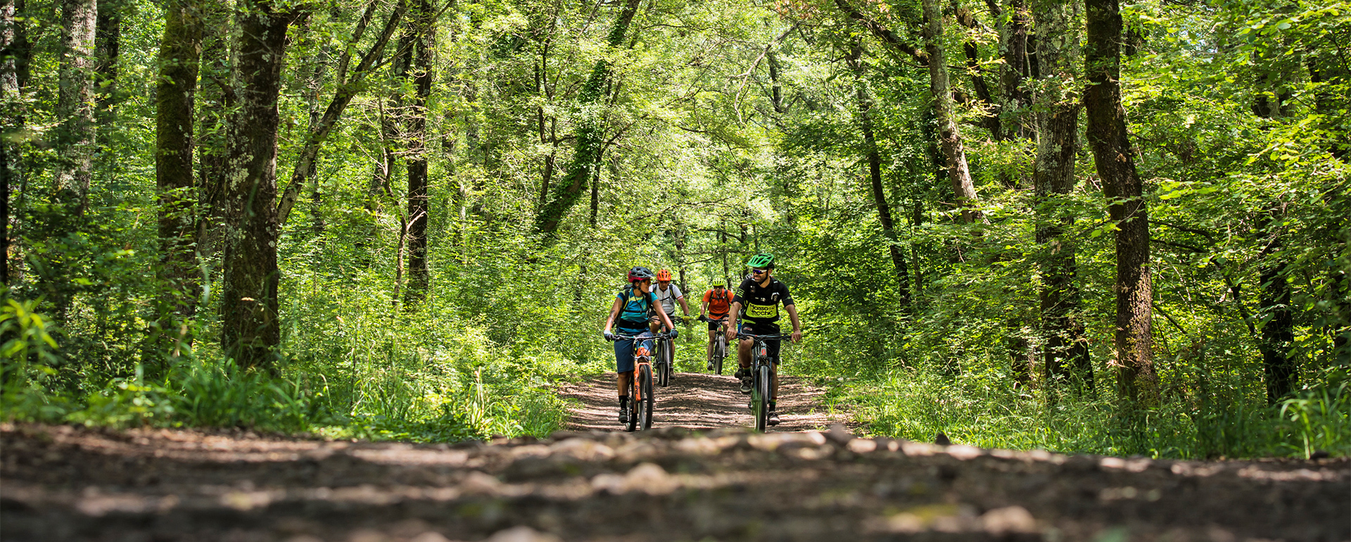 Biken durch den Wald