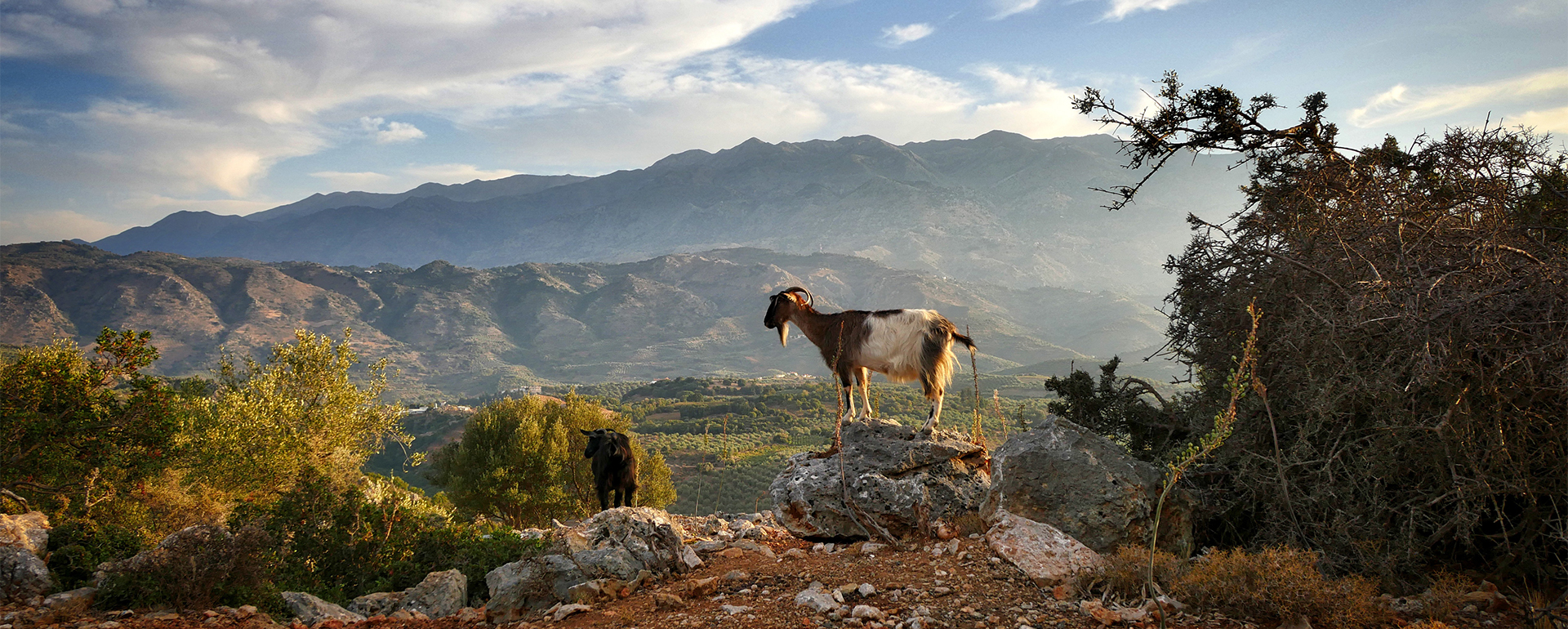 Griechenland Kreta Cycle Greece