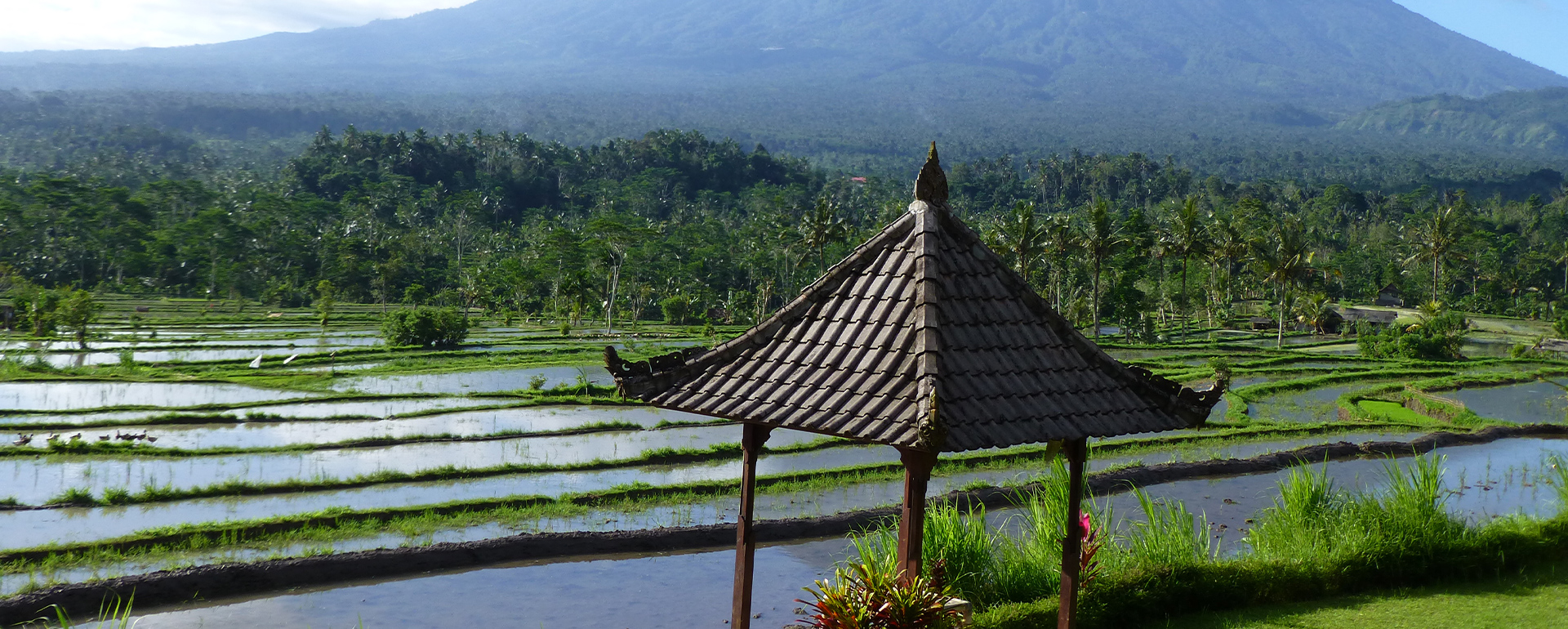 Radreise Bali Reisfelder