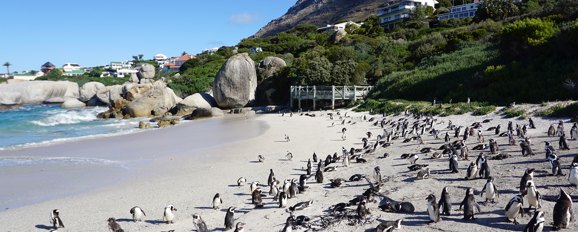 Bikereise Südafrika Wine & Bike