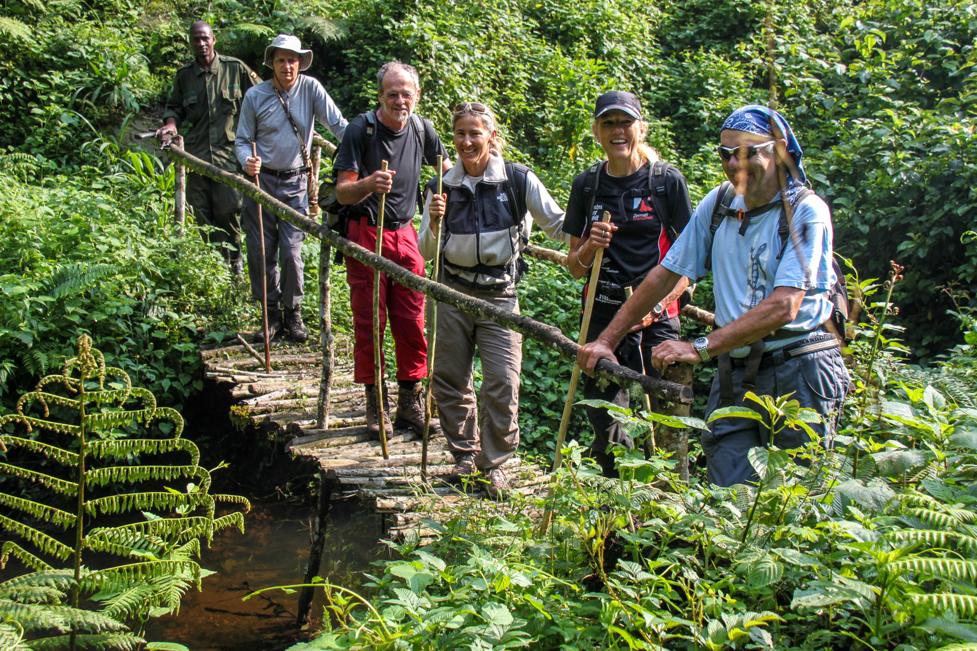 Schimpansen-Tracking im Kibale Nationalpark