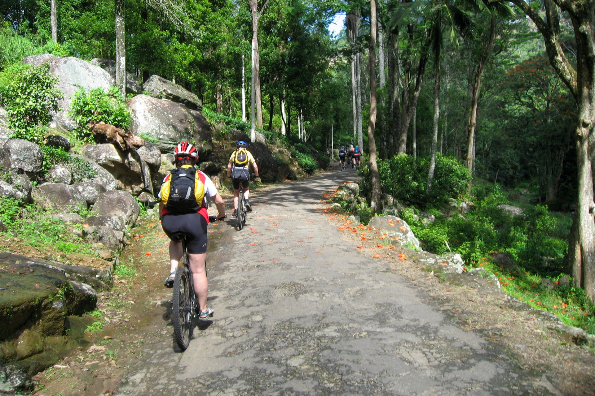 Unterwegs auf Sri Lanka's Nebenstrassen