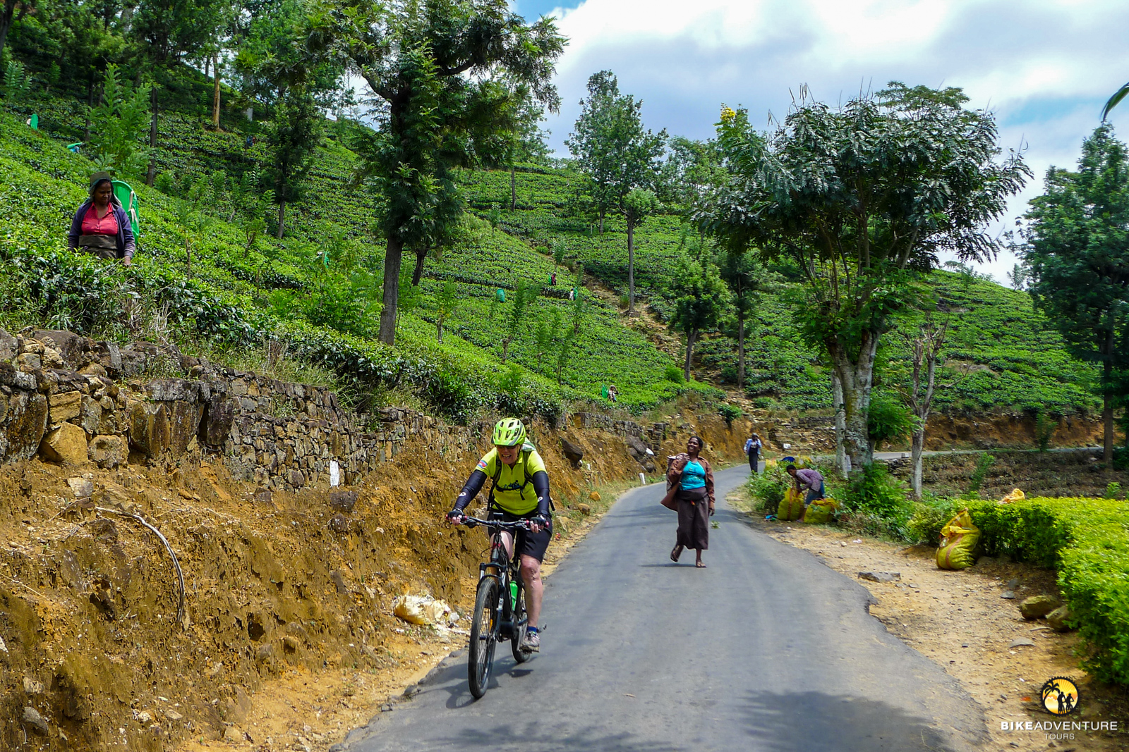 Teepflueckerinnen in Sri Lanka