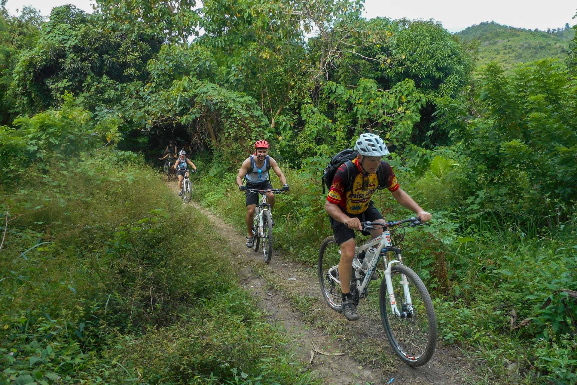 Jungle Trails