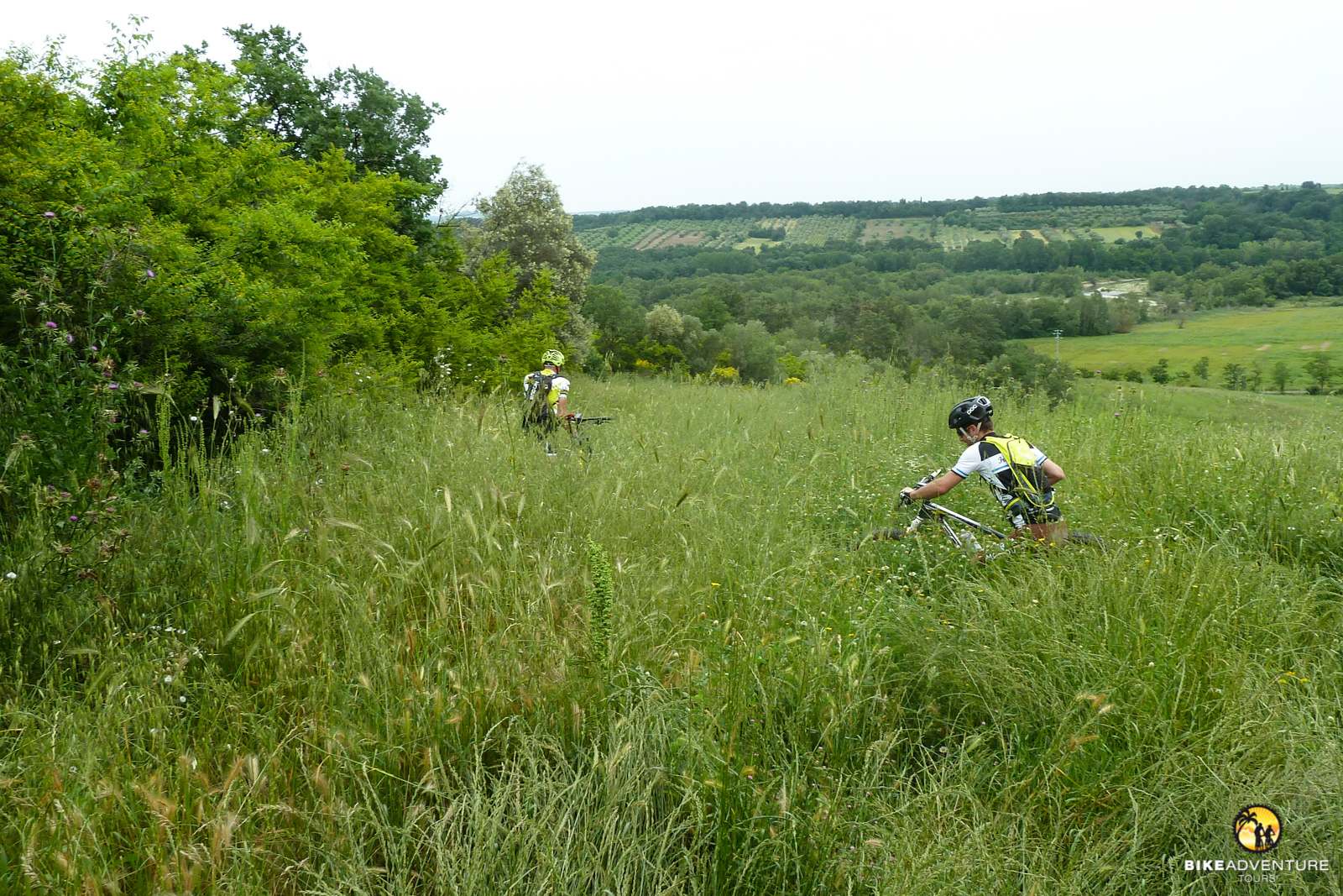 Offroad