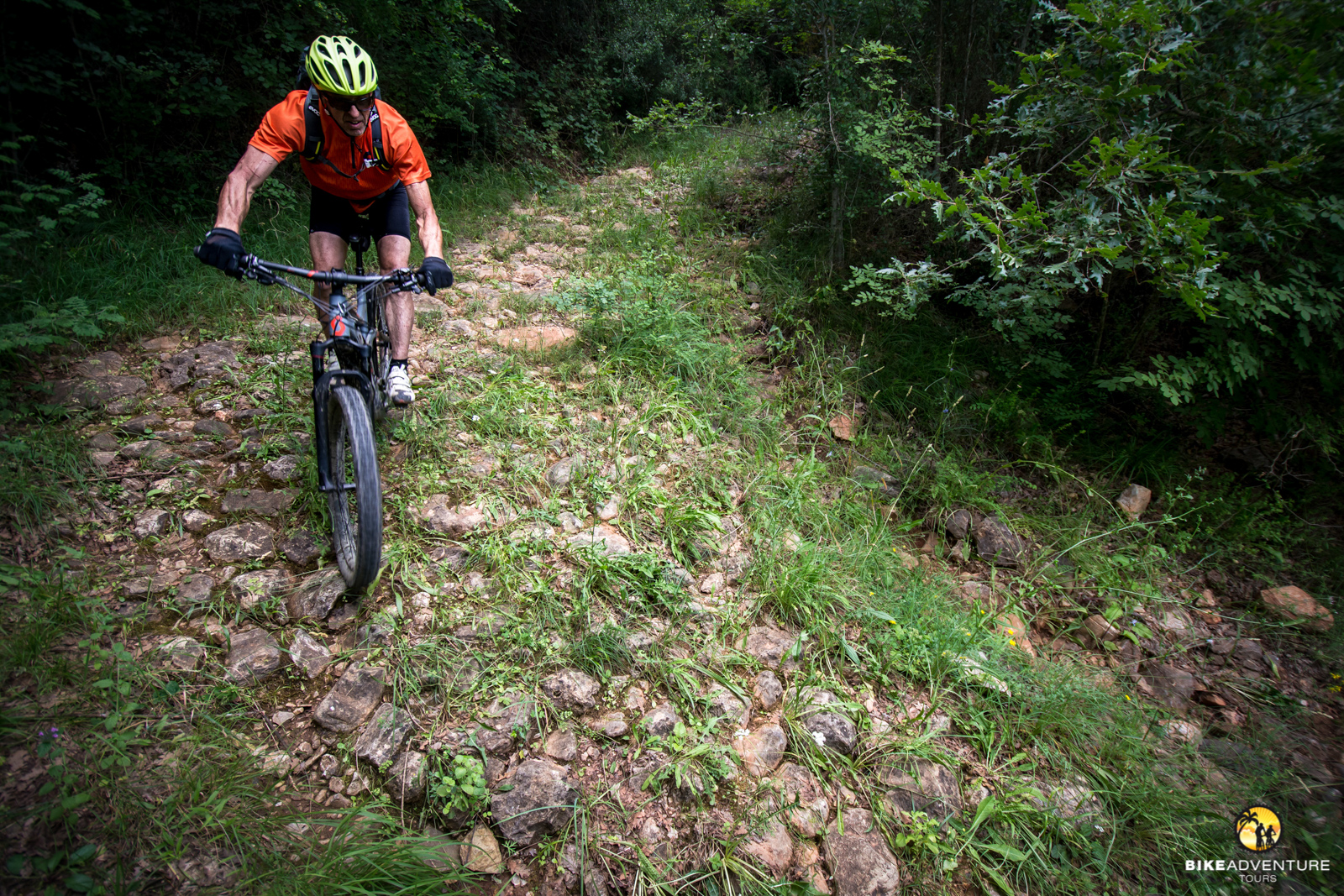 Ein paar Trails