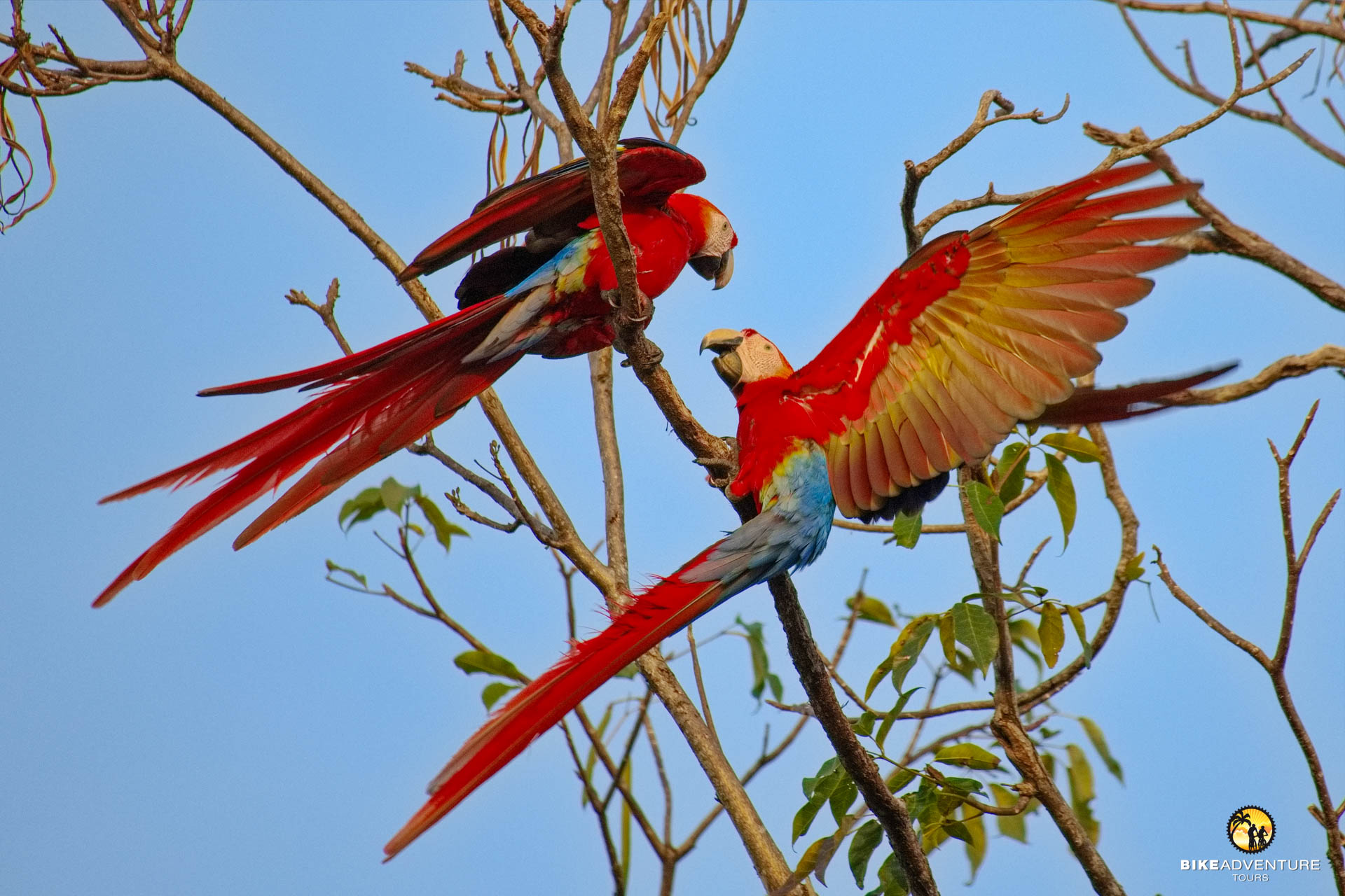 Costa Rica Bikereise