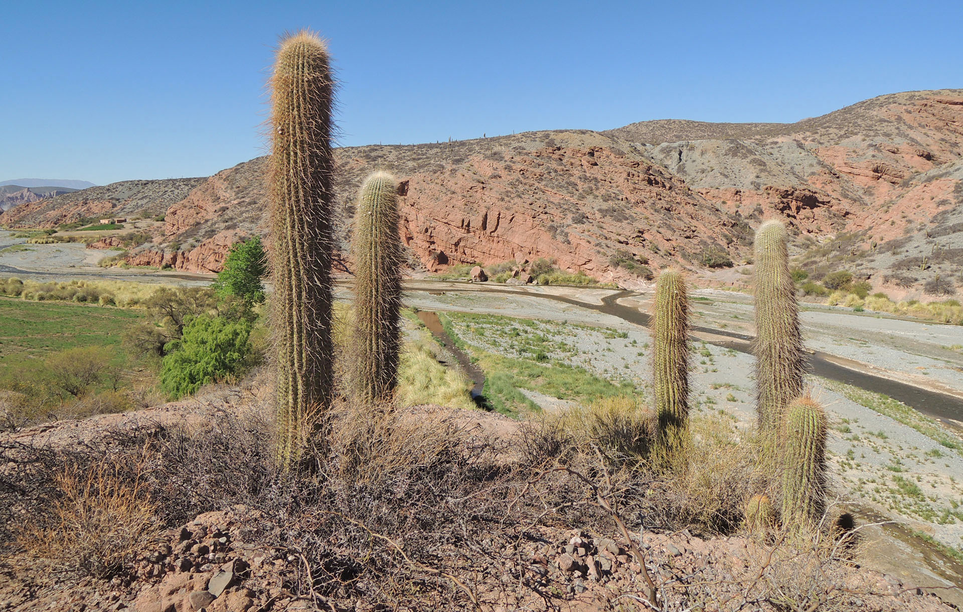 Argentinien Bike Adventure