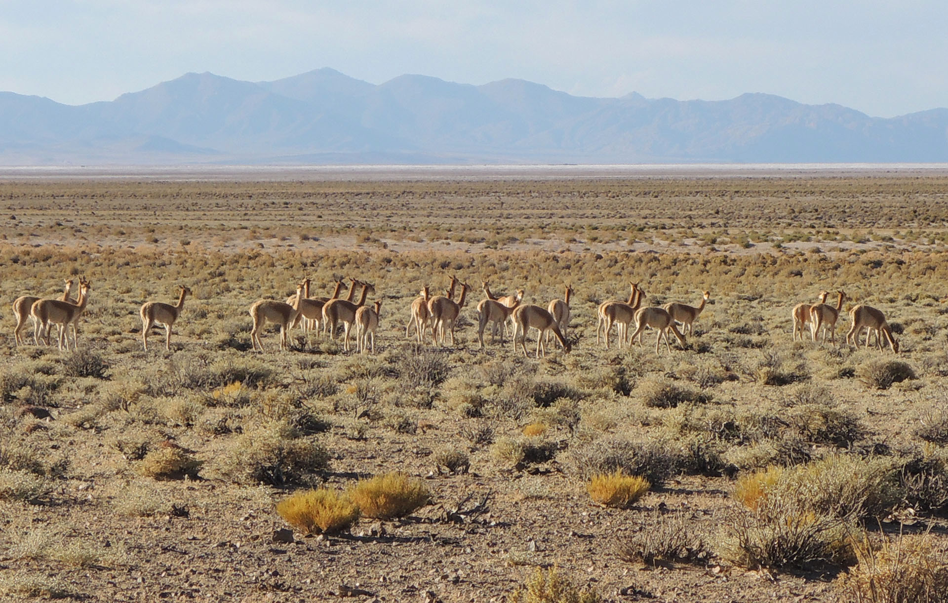 Argentinien Bike Adventure