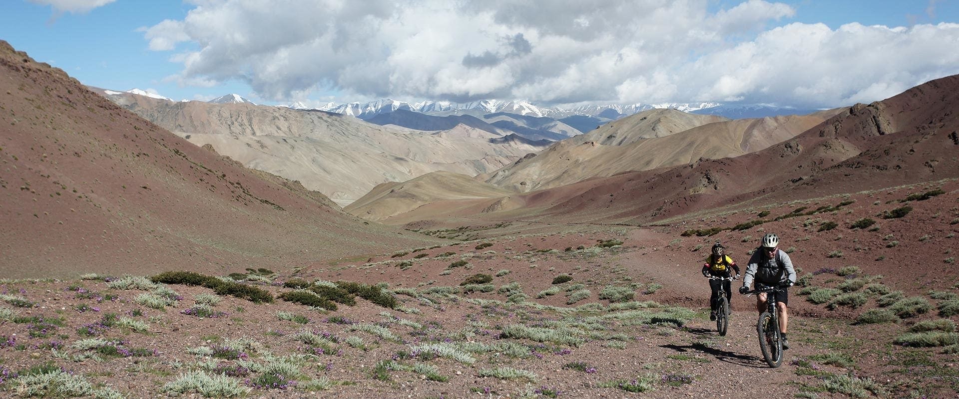 Ladakh Nomadic Trails