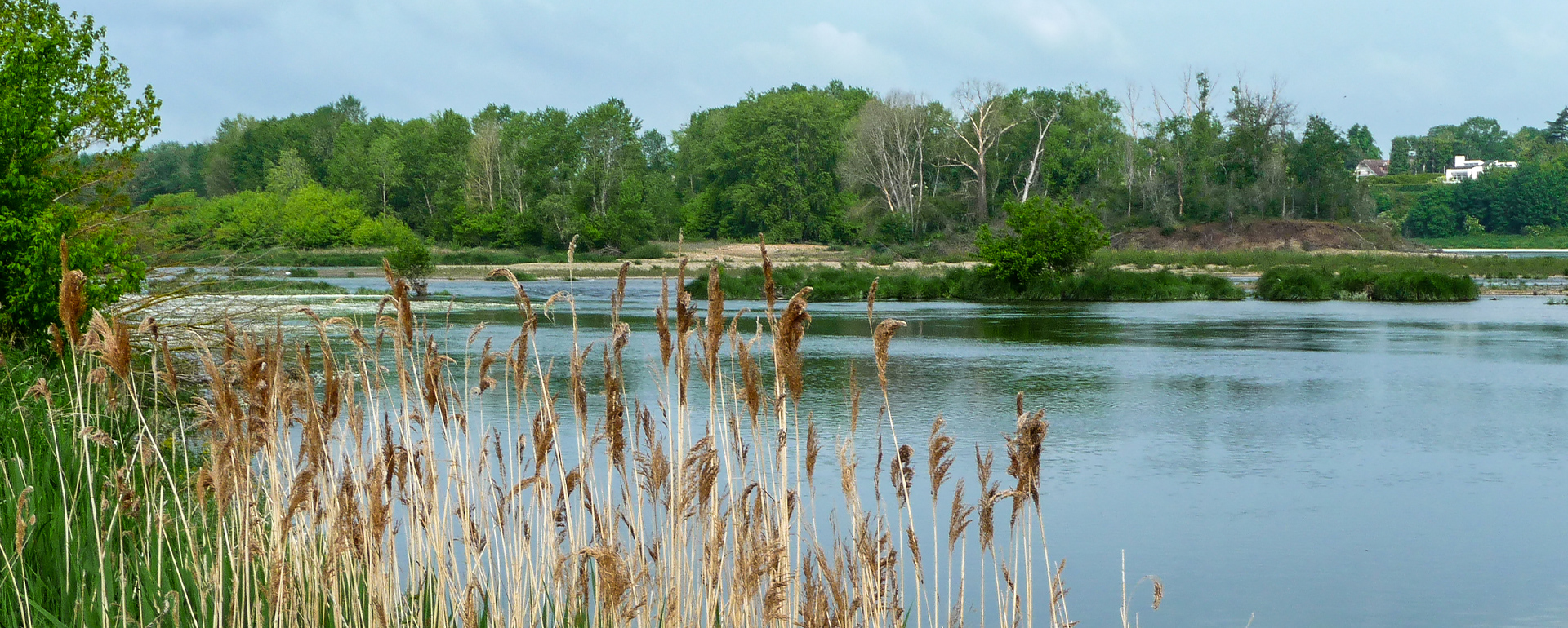 Radweg entlang der Loire