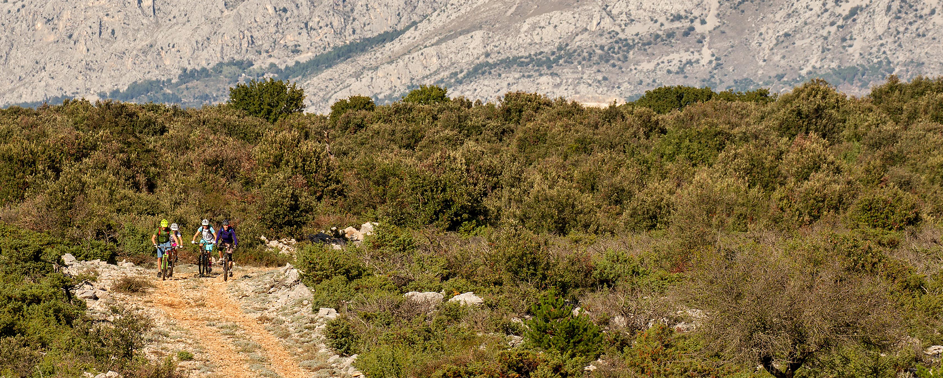 Kroatien Nationalparks Dalmatiens Mixed