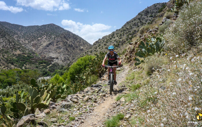 Singletrails-Marokko-MTB-33