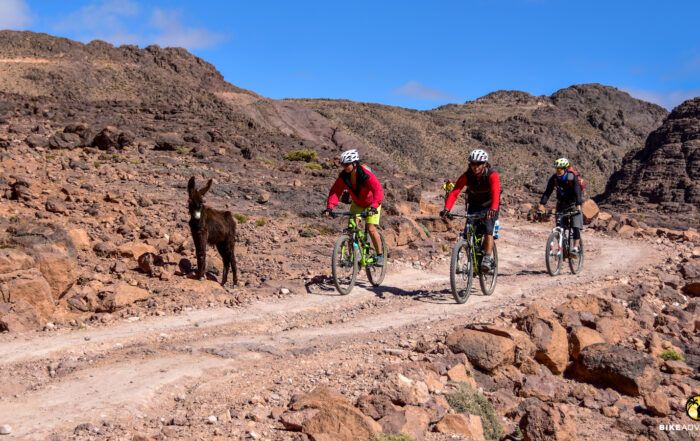 marokko-kultur-radreise-hoheratlas-sahara-094