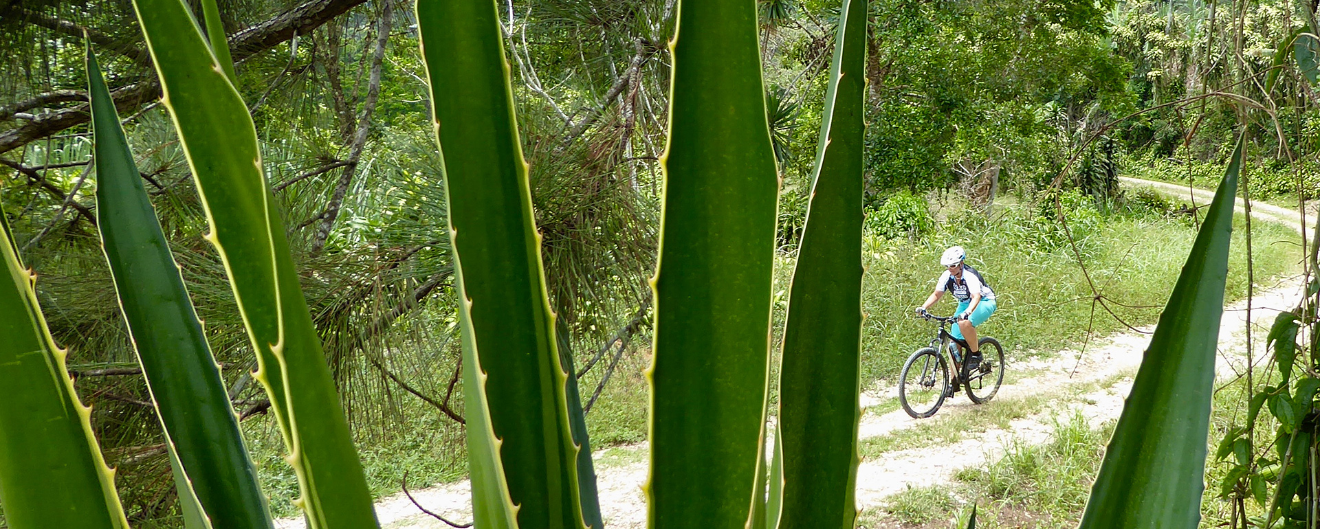 Djungle Biking