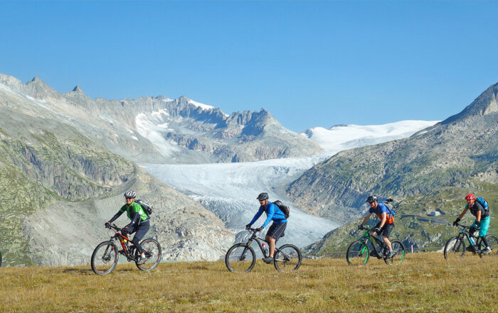 p-enduro-mtb-tour-goms-wallis