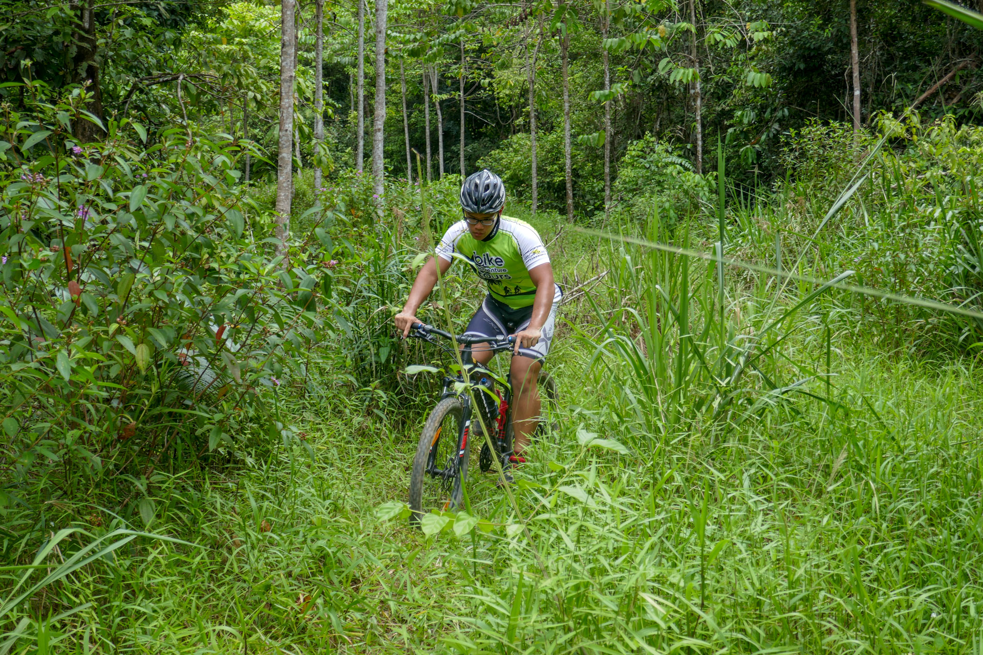 Biking durch dichte Wälder