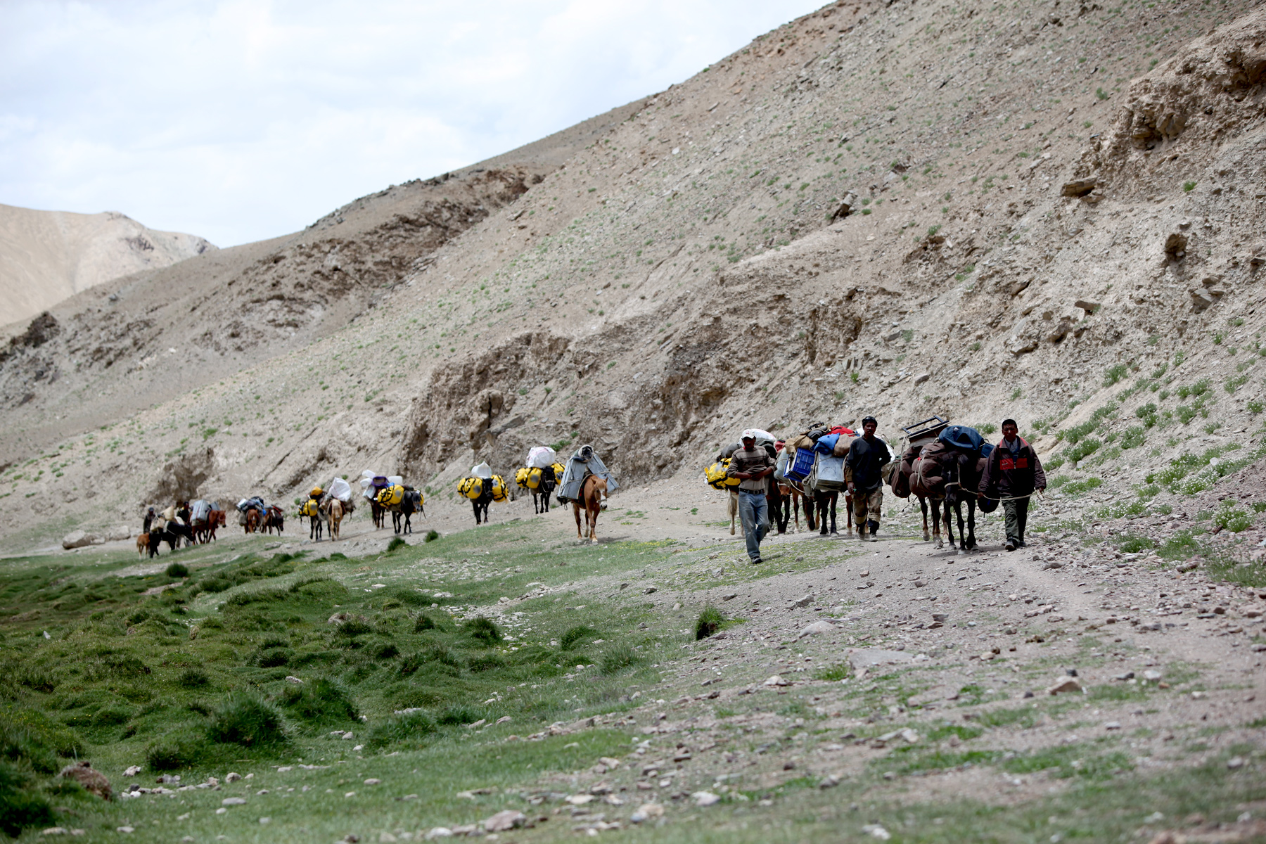 Ladakh Nomadic Trails