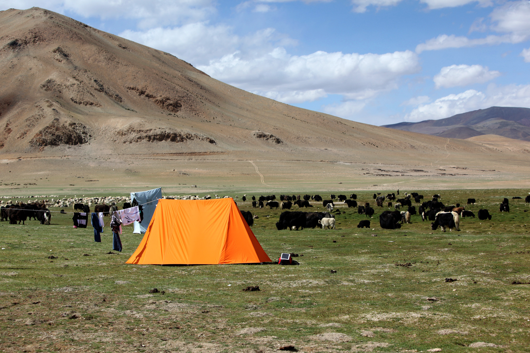 Ladakh Nomadic Trails