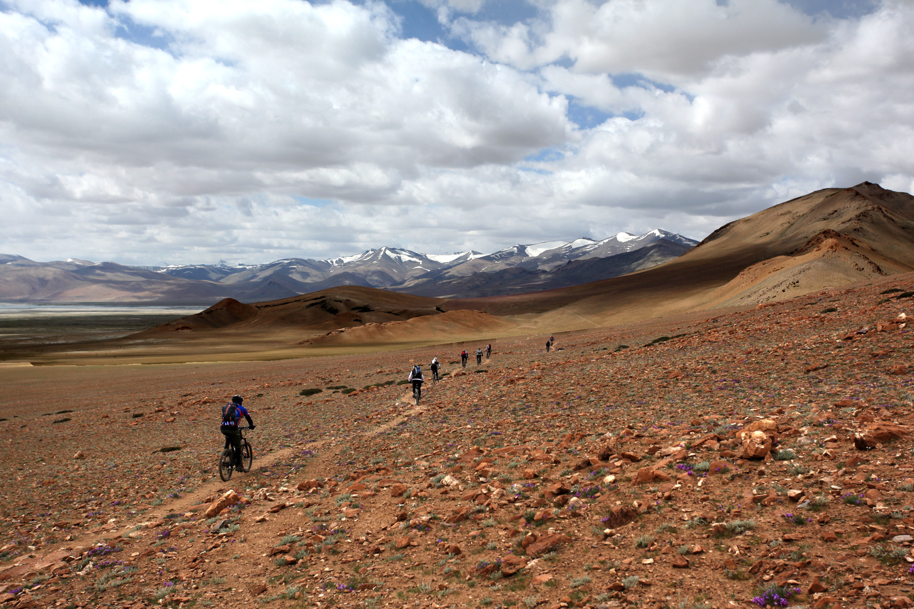 Ladakh Nomadic Trails