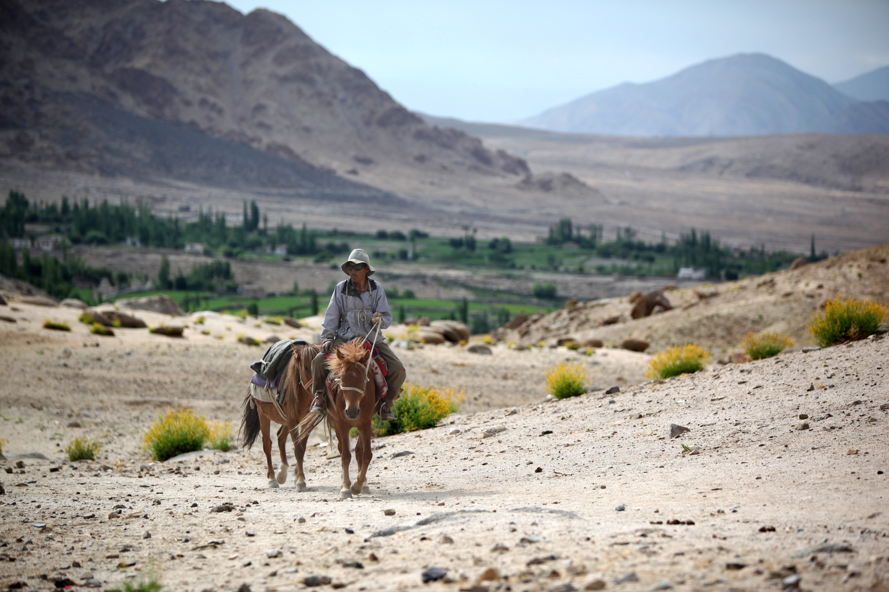 Ladakh Nomadic Trails