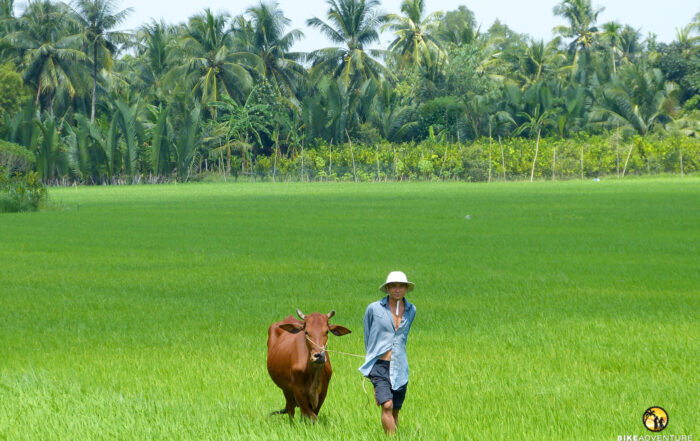 suedvietnam-kambodscha-velo-kulturreise-004
