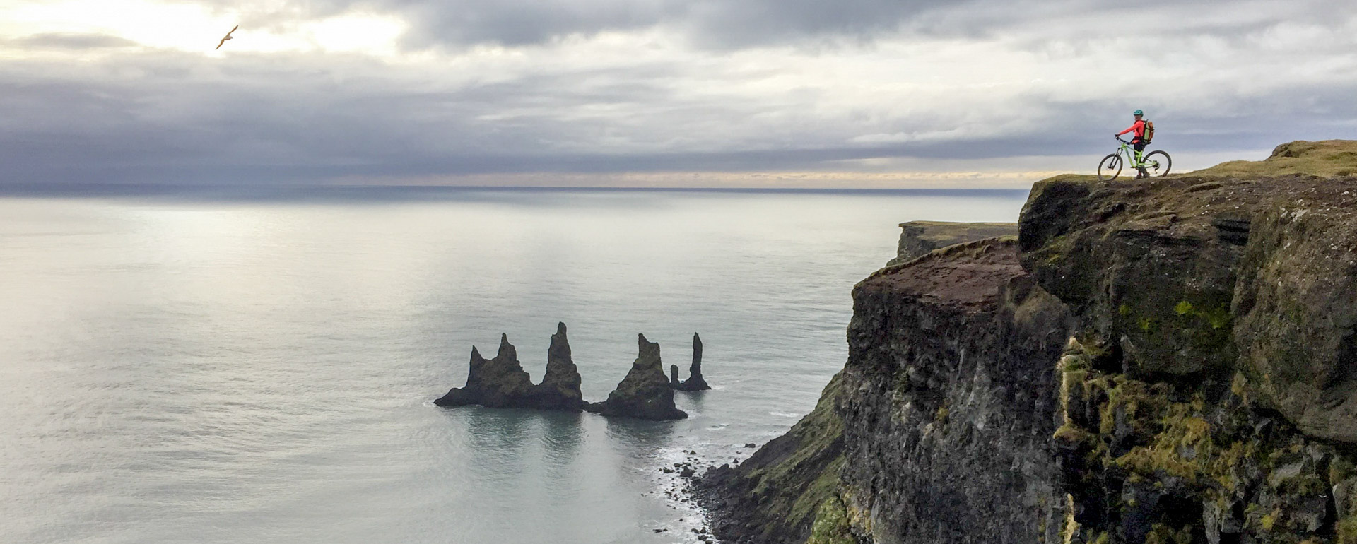 Isländische Küste: Schwarze Felsen