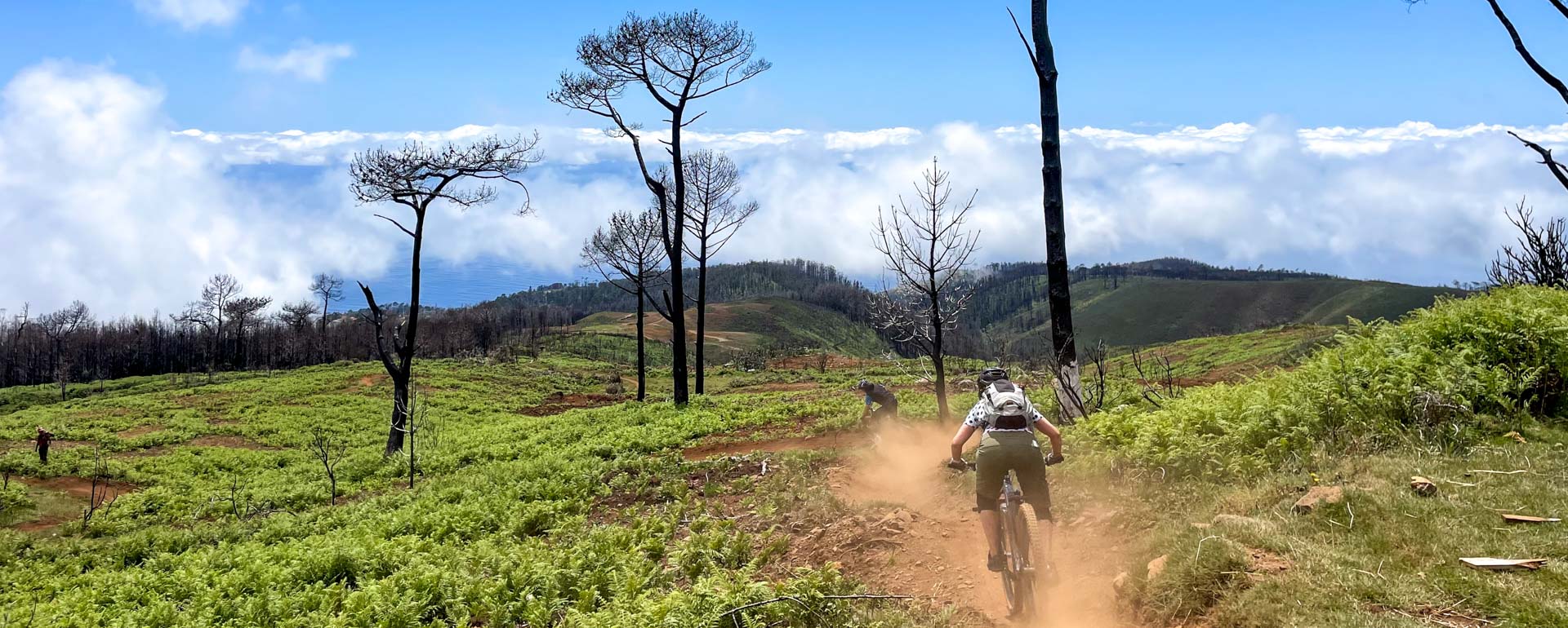 Madeira Trail Camp Madeira Trail Reise