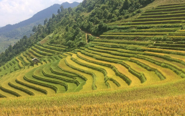 Bikereise in Vietnams Norden